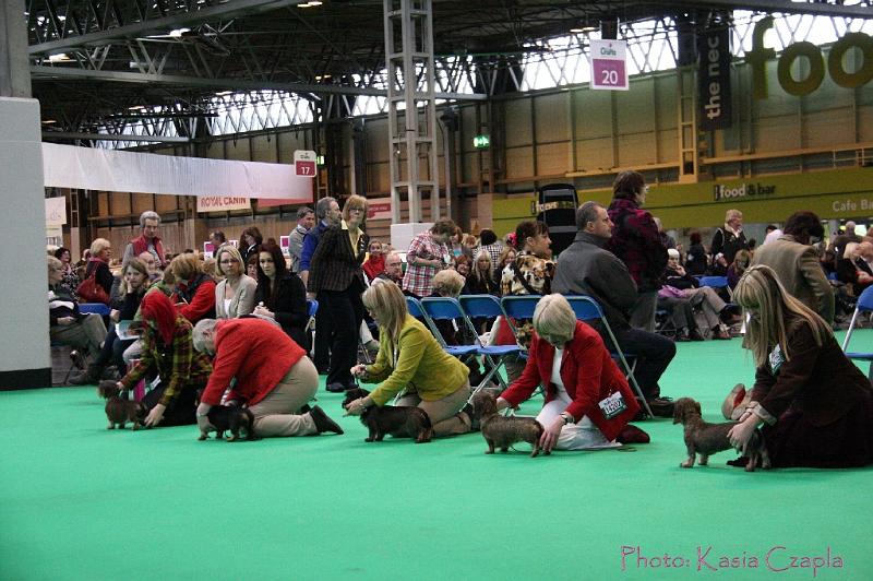 Crufts2011_2 1574.jpg